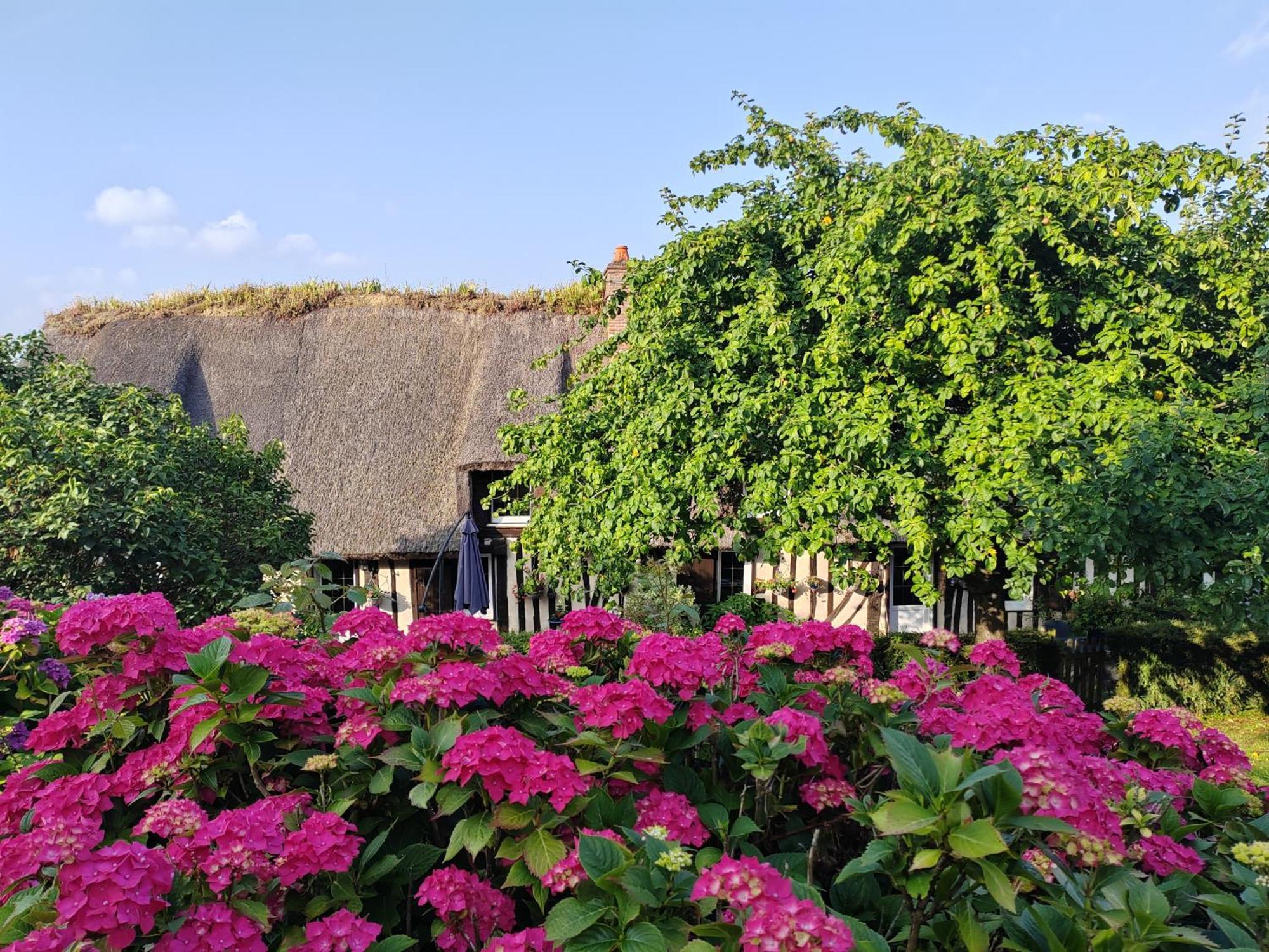 La Maraiquaise Villa Marais-Vernier Екстериор снимка